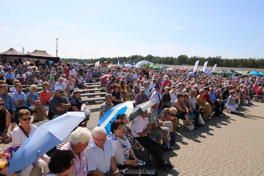 42. Miodobranie Kurpiowskie [25.08.2019] - zdjęcie #34 - eOstroleka.pl