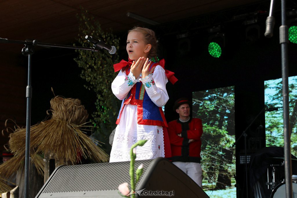 42. Miodobranie Kurpiowskie [25.08.2019] - zdjęcie #17 - eOstroleka.pl