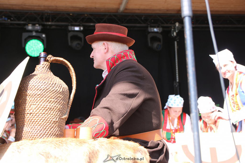 42. Miodobranie Kurpiowskie [25.08.2019] - zdjęcie #15 - eOstroleka.pl