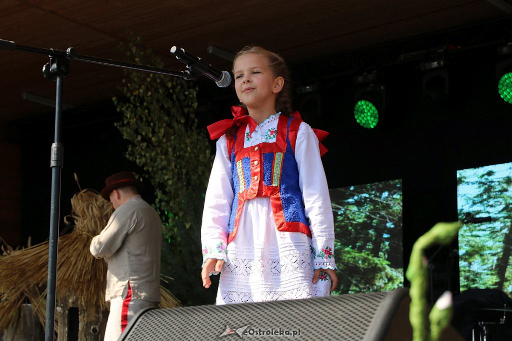 42. Miodobranie Kurpiowskie [25.08.2019] - zdjęcie #14 - eOstroleka.pl