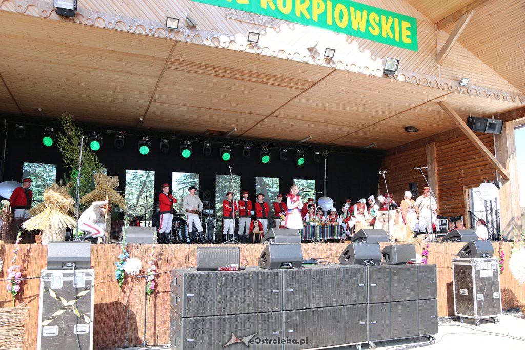 42. Miodobranie Kurpiowskie [25.08.2019] - zdjęcie #2 - eOstroleka.pl