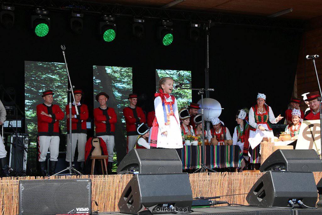 42. Miodobranie Kurpiowskie [25.08.2019] - zdjęcie #1 - eOstroleka.pl
