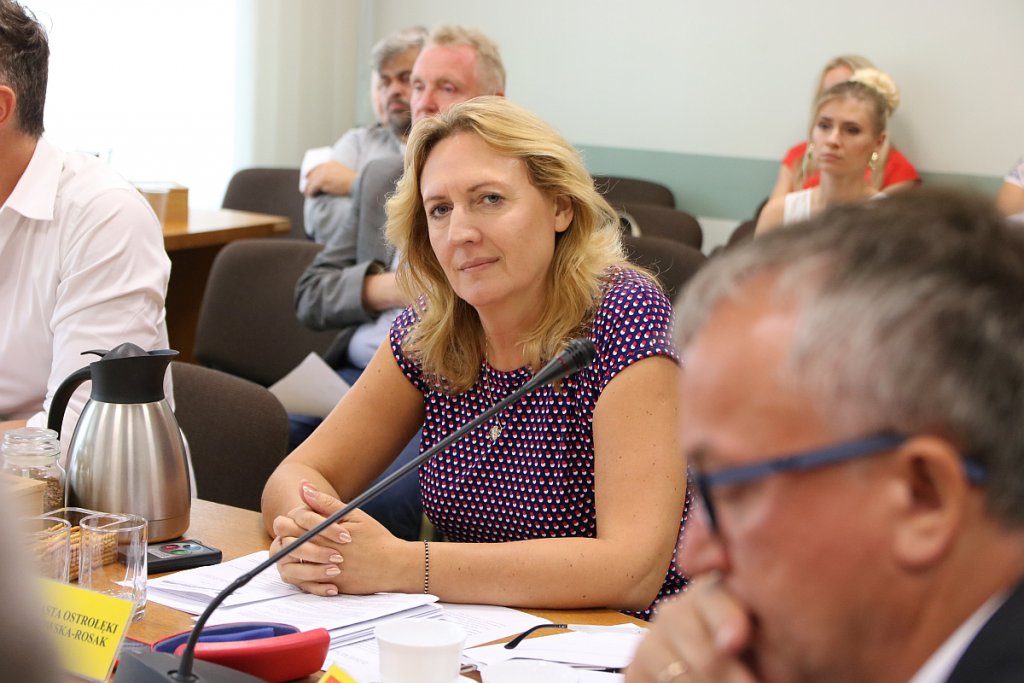 XVI nadzwyczajna sesja Rady Miasta Ostrołęki [02.09.2019] - zdjęcie #12 - eOstroleka.pl