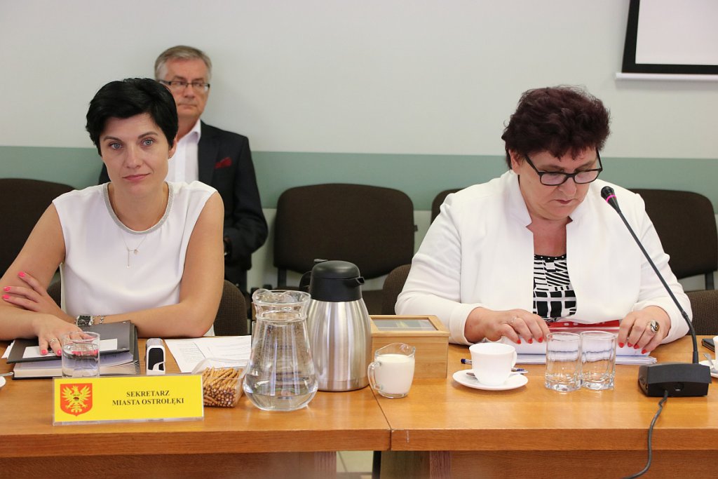 XVI nadzwyczajna sesja Rady Miasta Ostrołęki [02.09.2019] - zdjęcie #16 - eOstroleka.pl