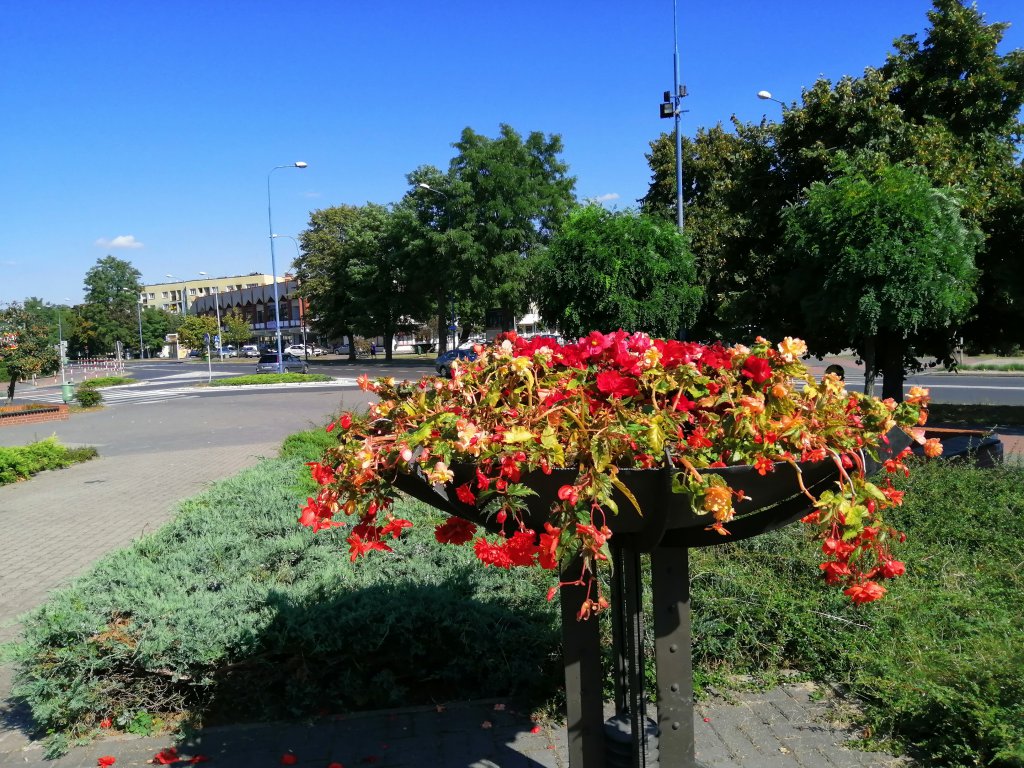 Pomnik po renowacji [05.09.2019] - zdjęcie #7 - eOstroleka.pl