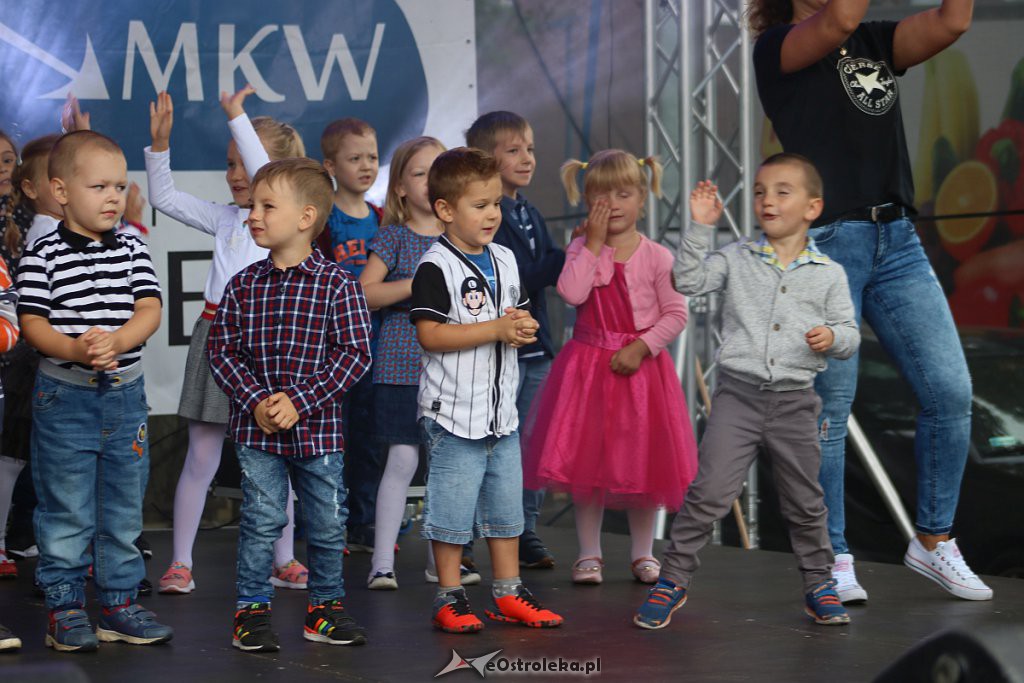 Piknik Dworcowy 2019 [08.09.2019] - zdjęcie #49 - eOstroleka.pl