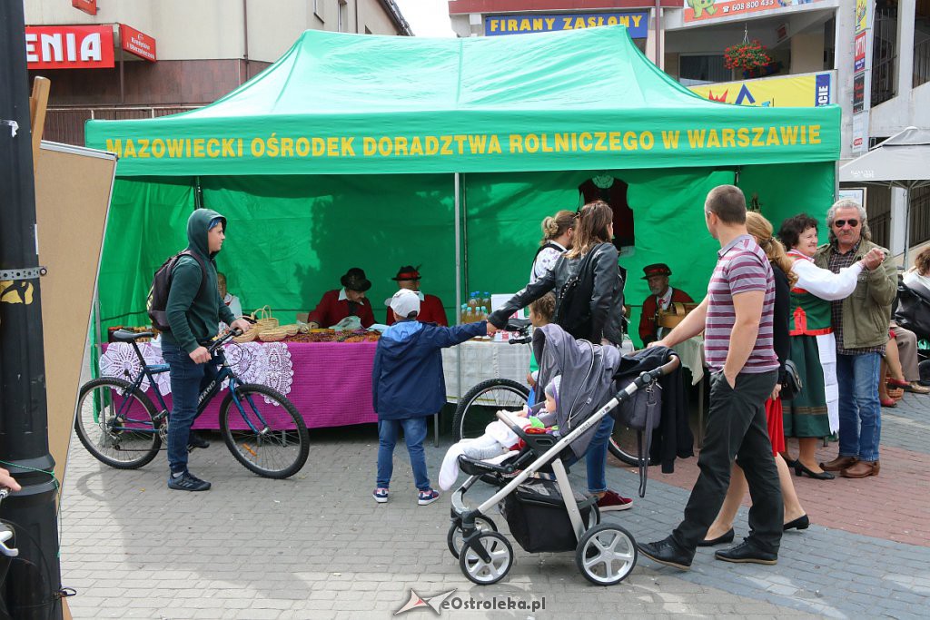 XIII Kurpiowskie Targi Rolnicze w Ostrołęce [15.09.2019] - zdjęcie #105 - eOstroleka.pl