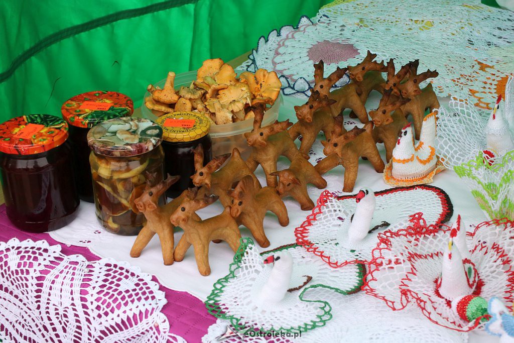 XIII Kurpiowskie Targi Rolnicze w Ostrołęce [15.09.2019] - zdjęcie #95 - eOstroleka.pl