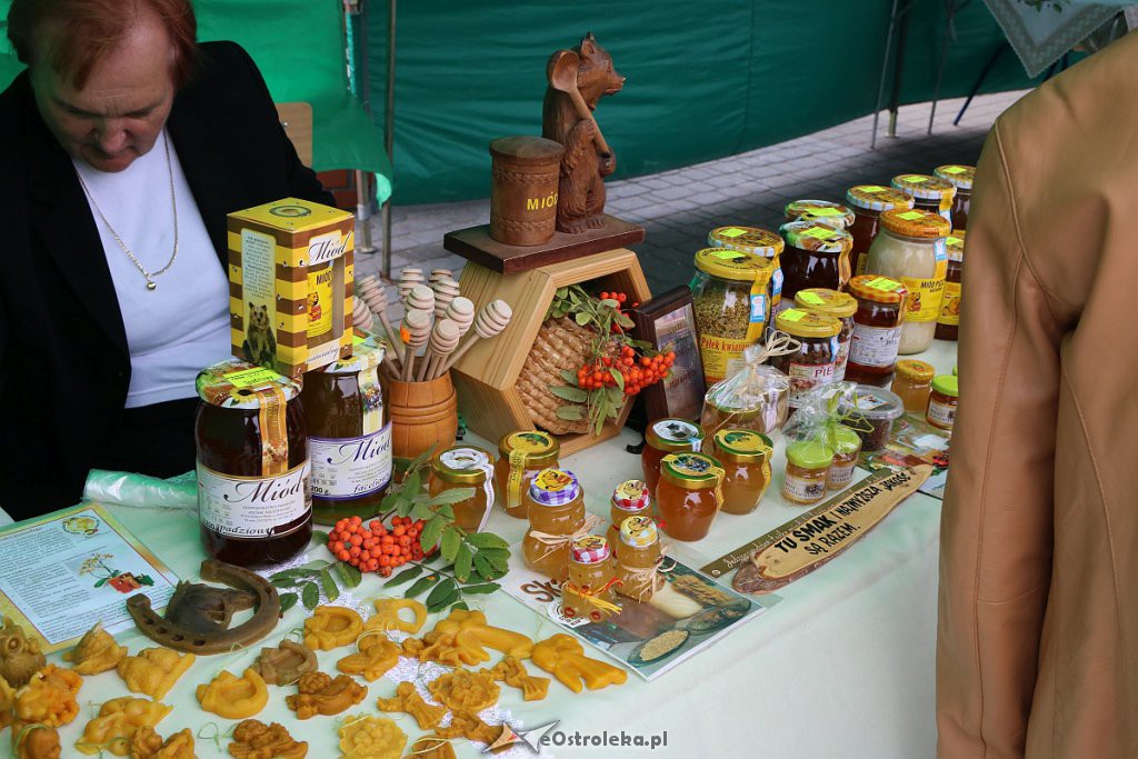 XIII Kurpiowskie Targi Rolnicze w Ostrołęce [15.09.2019] - zdjęcie #91 - eOstroleka.pl