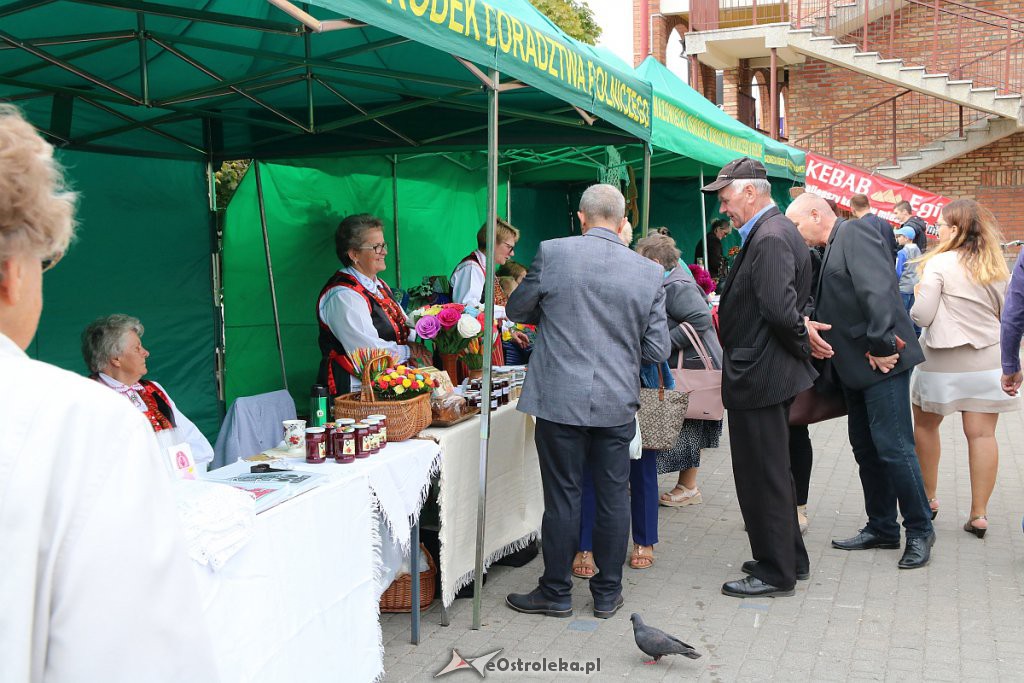 XIII Kurpiowskie Targi Rolnicze w Ostrołęce [15.09.2019] - zdjęcie #88 - eOstroleka.pl