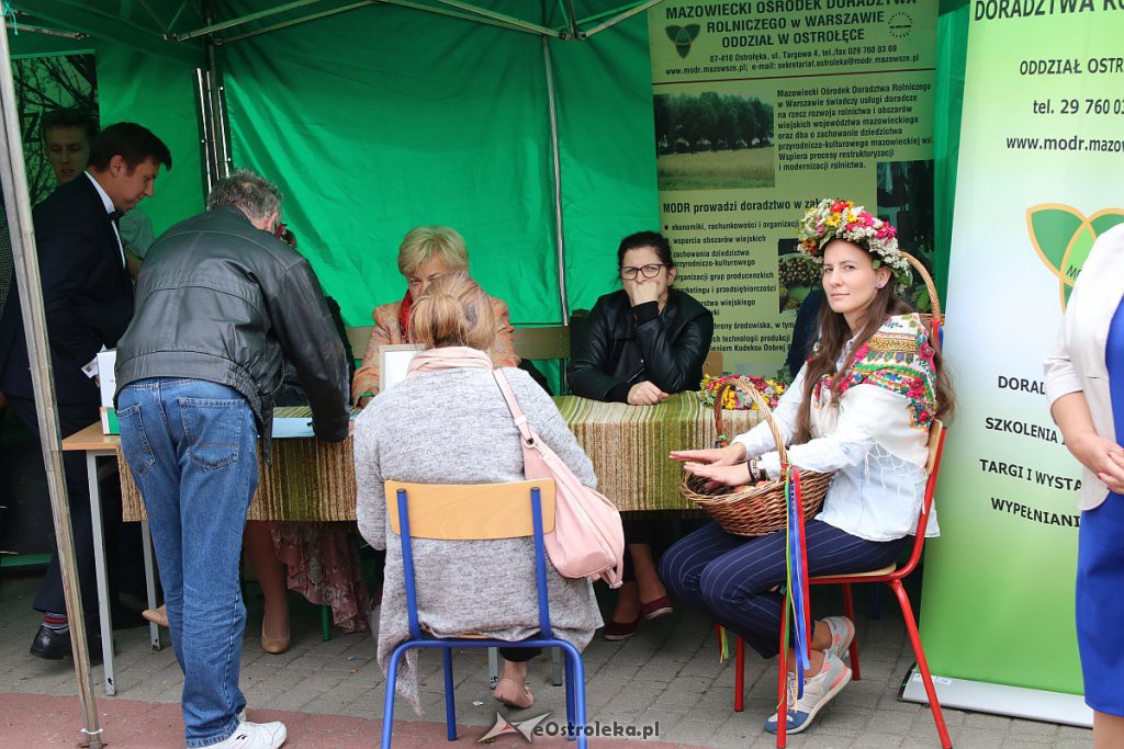 XIII Kurpiowskie Targi Rolnicze w Ostrołęce [15.09.2019] - zdjęcie #79 - eOstroleka.pl