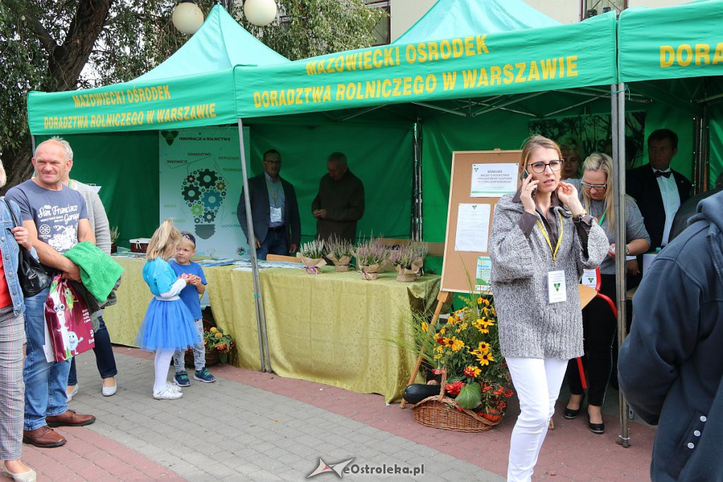 XIII Kurpiowskie Targi Rolnicze w Ostrołęce [15.09.2019] - zdjęcie #77 - eOstroleka.pl