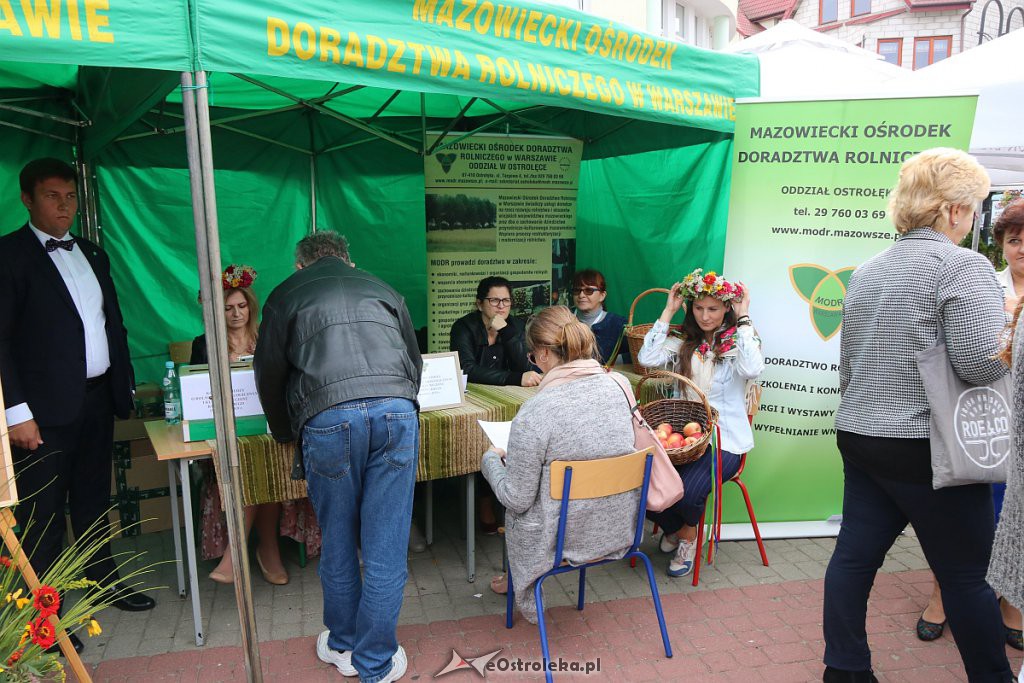 XIII Kurpiowskie Targi Rolnicze w Ostrołęce [15.09.2019] - zdjęcie #75 - eOstroleka.pl