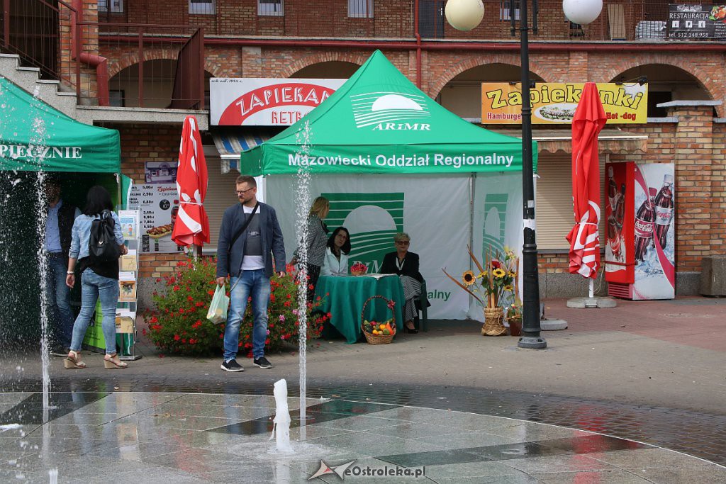 XIII Kurpiowskie Targi Rolnicze w Ostrołęce [15.09.2019] - zdjęcie #74 - eOstroleka.pl