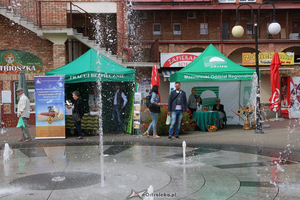 XIII Kurpiowskie Targi Rolnicze w Ostrołęce [15.09.2019] - zdjęcie #73 - eOstroleka.pl