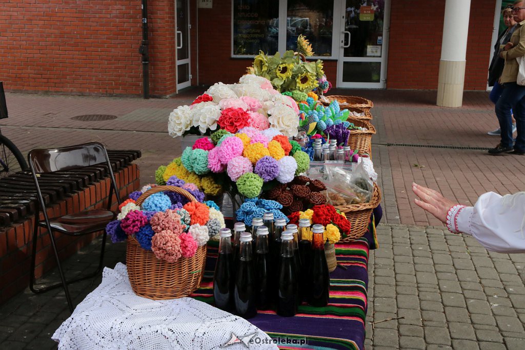 XIII Kurpiowskie Targi Rolnicze w Ostrołęce [15.09.2019] - zdjęcie #65 - eOstroleka.pl