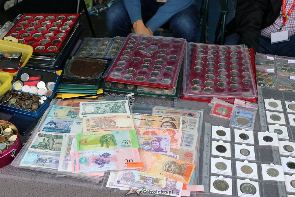 XIII Kurpiowskie Targi Rolnicze w Ostrołęce [15.09.2019] - zdjęcie #50 - eOstroleka.pl