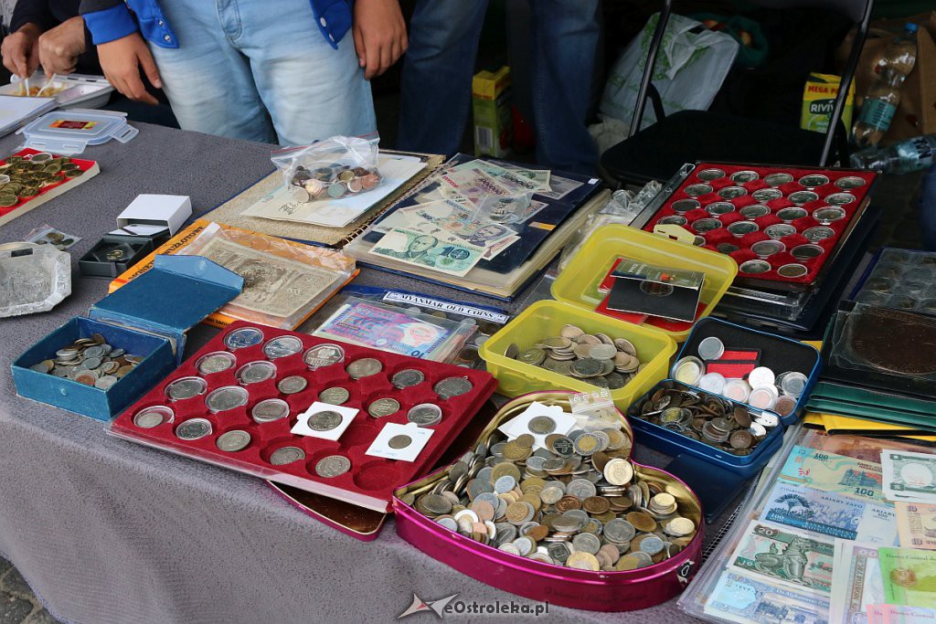 XIII Kurpiowskie Targi Rolnicze w Ostrołęce [15.09.2019] - zdjęcie #49 - eOstroleka.pl