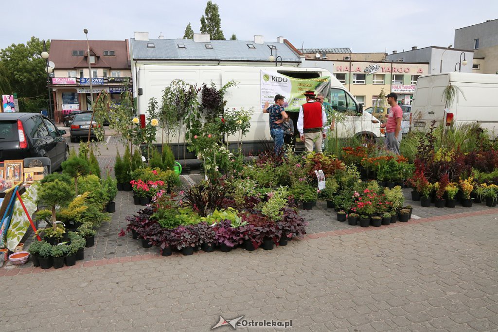 XIII Kurpiowskie Targi Rolnicze w Ostrołęce [15.09.2019] - zdjęcie #33 - eOstroleka.pl