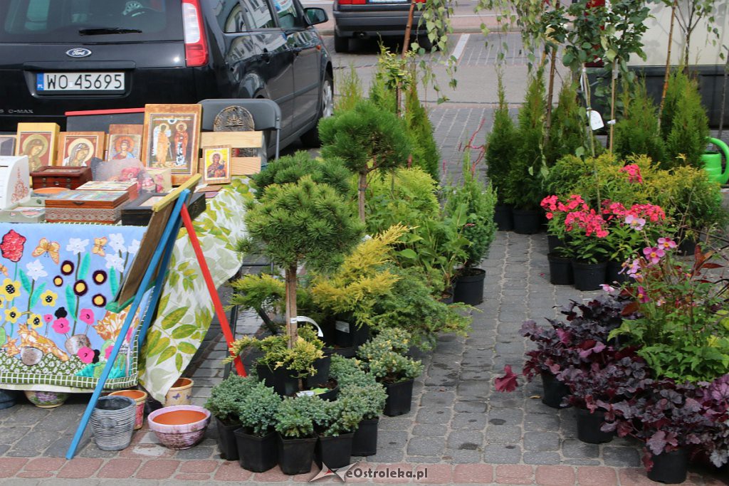 XIII Kurpiowskie Targi Rolnicze w Ostrołęce [15.09.2019] - zdjęcie #32 - eOstroleka.pl