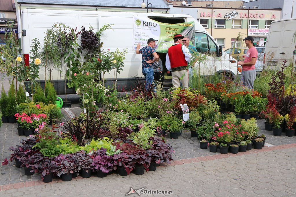 XIII Kurpiowskie Targi Rolnicze w Ostrołęce [15.09.2019] - zdjęcie #30 - eOstroleka.pl