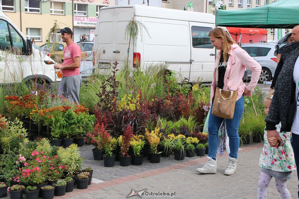 XIII Kurpiowskie Targi Rolnicze w Ostrołęce [15.09.2019] - zdjęcie #28 - eOstroleka.pl