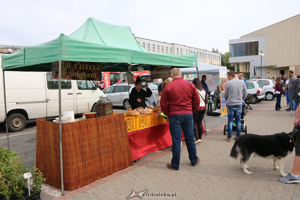 XIII Kurpiowskie Targi Rolnicze w Ostrołęce [15.09.2019] - zdjęcie #24 - eOstroleka.pl