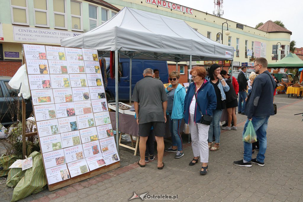 XIII Kurpiowskie Targi Rolnicze w Ostrołęce [15.09.2019] - zdjęcie #12 - eOstroleka.pl