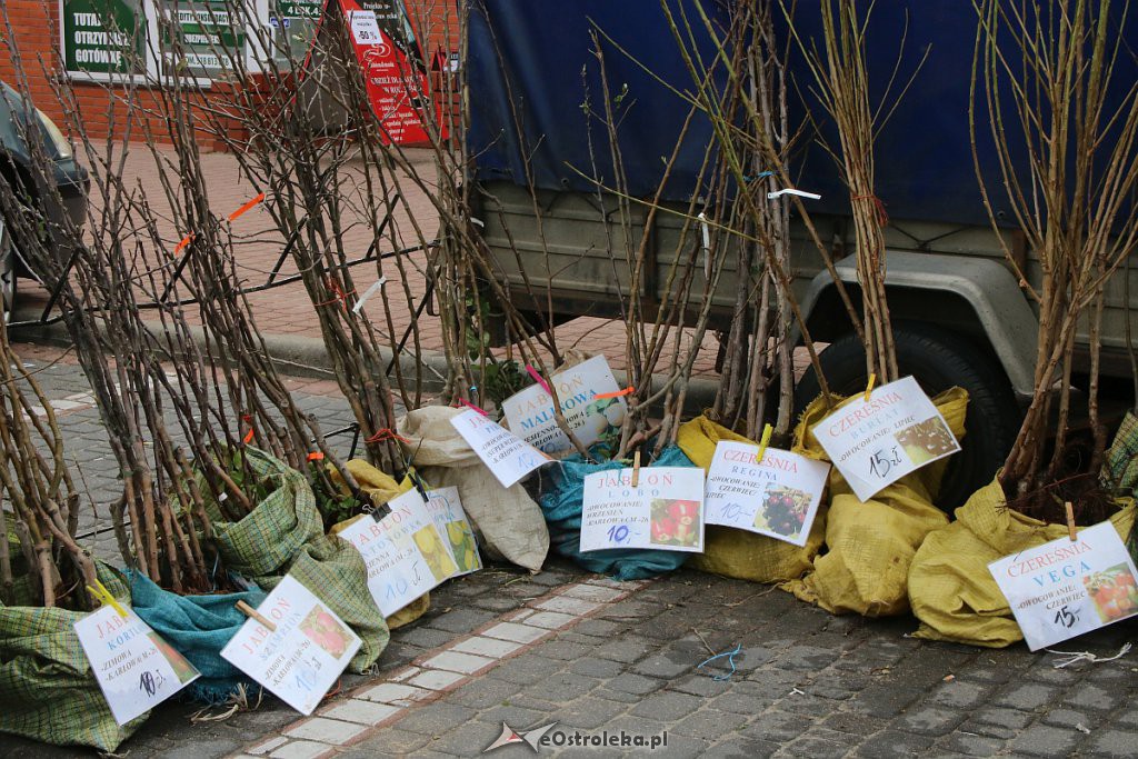 XIII Kurpiowskie Targi Rolnicze w Ostrołęce [15.09.2019] - zdjęcie #9 - eOstroleka.pl