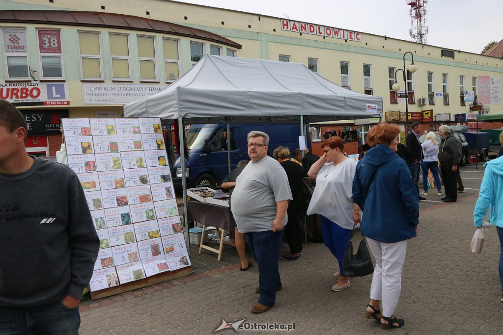 XIII Kurpiowskie Targi Rolnicze w Ostrołęce [15.09.2019] - zdjęcie #6 - eOstroleka.pl