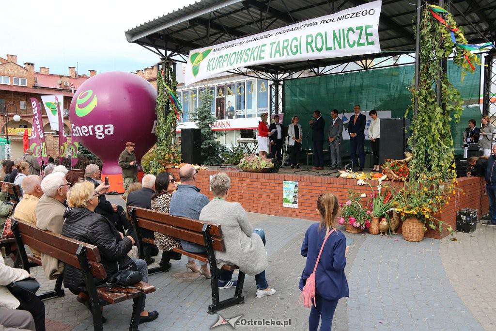 XIII Kurpiowskie Targi Rolnicze w Ostrołęce [15.09.2019] - zdjęcie #35 - eOstroleka.pl