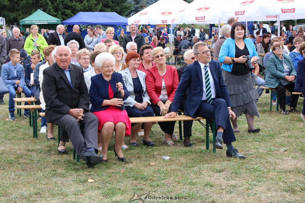 Pożegnanie lata i Dożynki Gminne w Goworowie [15.09.2019] - zdjęcie #116 - eOstroleka.pl