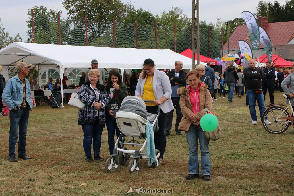 Pożegnanie lata i Dożynki Gminne w Goworowie [15.09.2019] - zdjęcie #114 - eOstroleka.pl