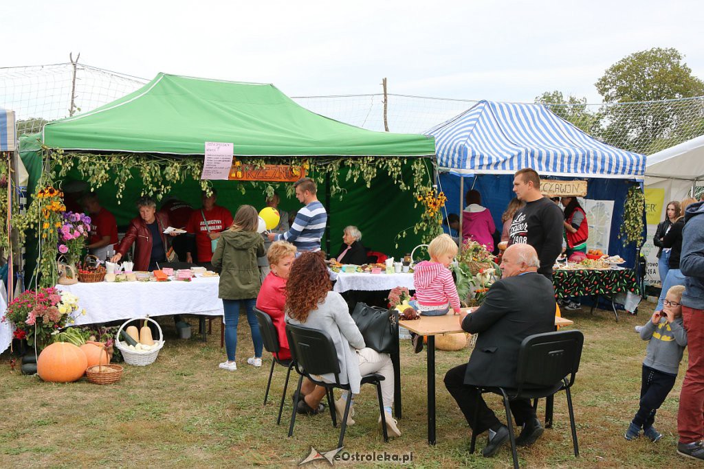 Pożegnanie lata i Dożynki Gminne w Goworowie [15.09.2019] - zdjęcie #112 - eOstroleka.pl