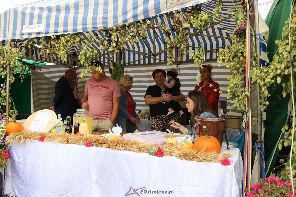 Pożegnanie lata i Dożynki Gminne w Goworowie [15.09.2019] - zdjęcie #110 - eOstroleka.pl
