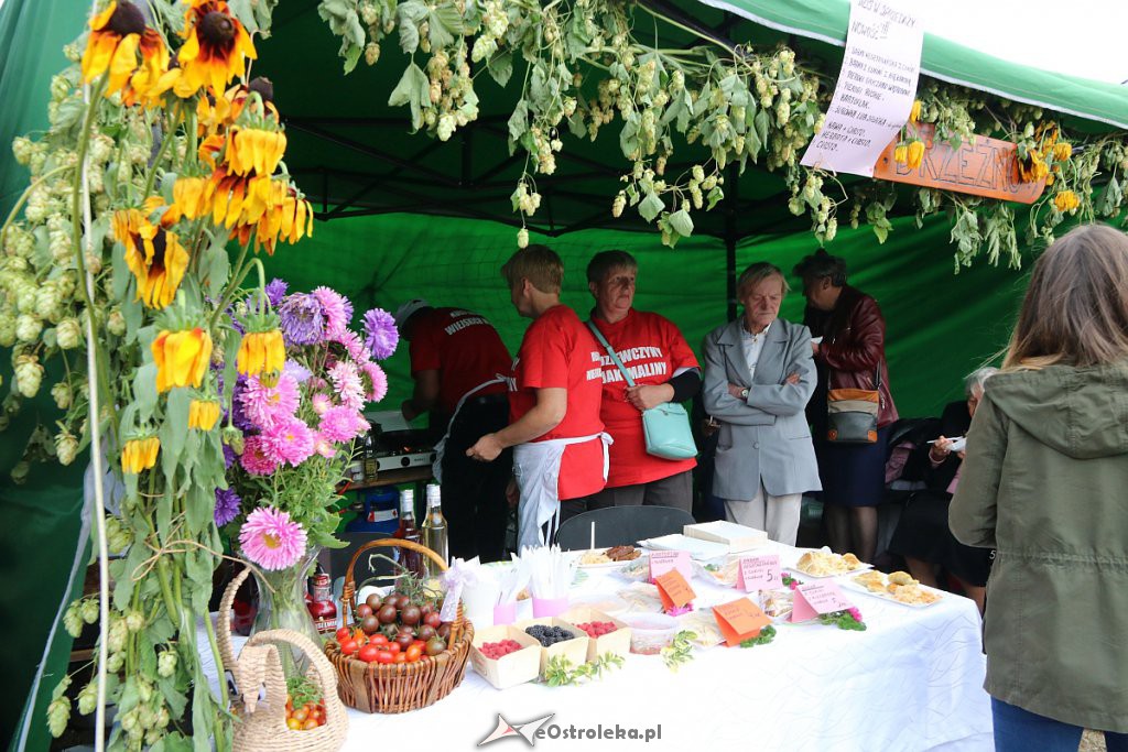 Pożegnanie lata i Dożynki Gminne w Goworowie [15.09.2019] - zdjęcie #106 - eOstroleka.pl