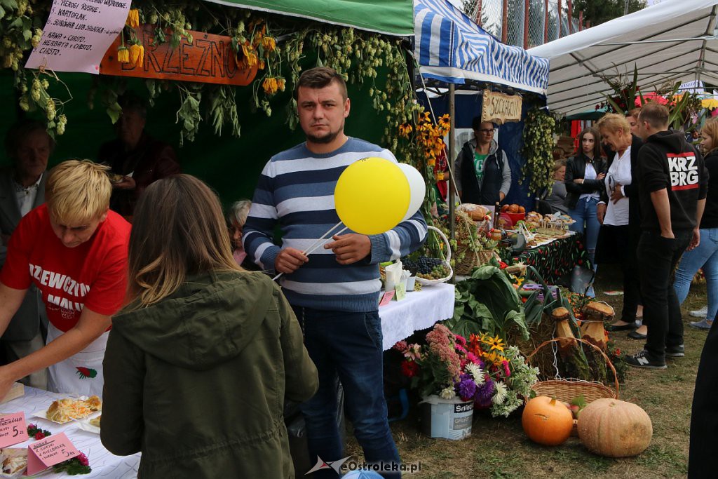 Pożegnanie lata i Dożynki Gminne w Goworowie [15.09.2019] - zdjęcie #105 - eOstroleka.pl