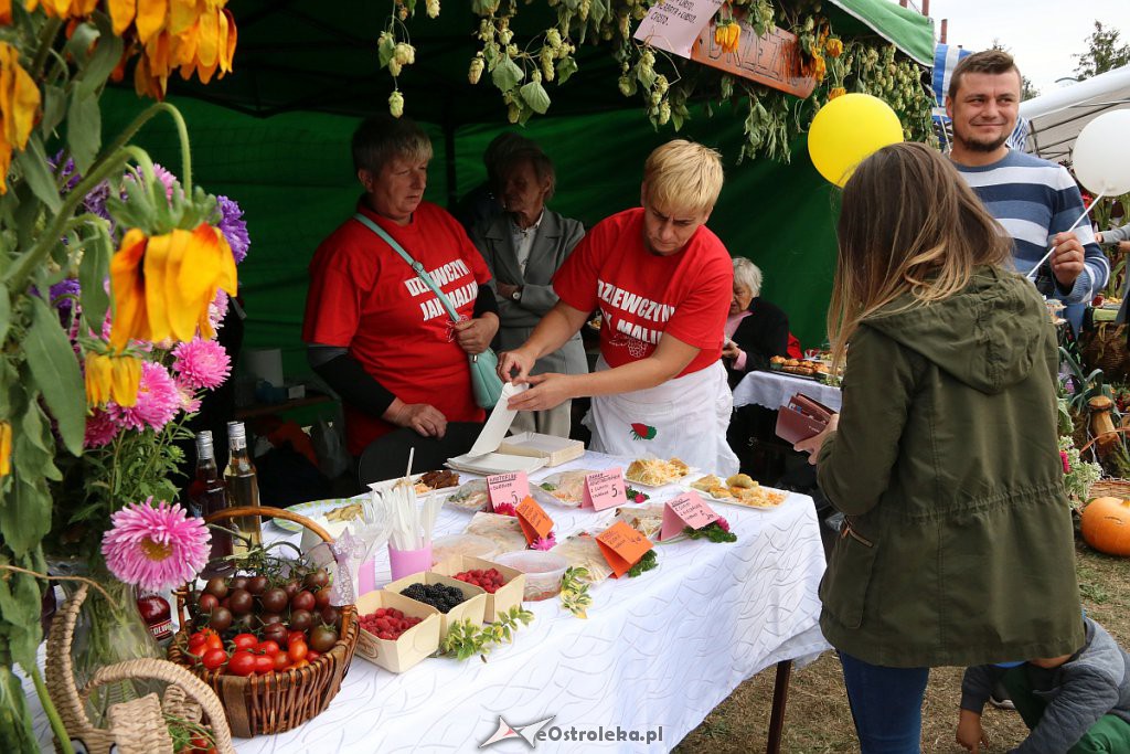 Pożegnanie lata i Dożynki Gminne w Goworowie [15.09.2019] - zdjęcie #104 - eOstroleka.pl