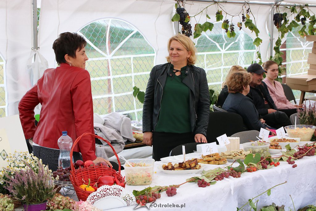 Pożegnanie lata i Dożynki Gminne w Goworowie [15.09.2019] - zdjęcie #98 - eOstroleka.pl