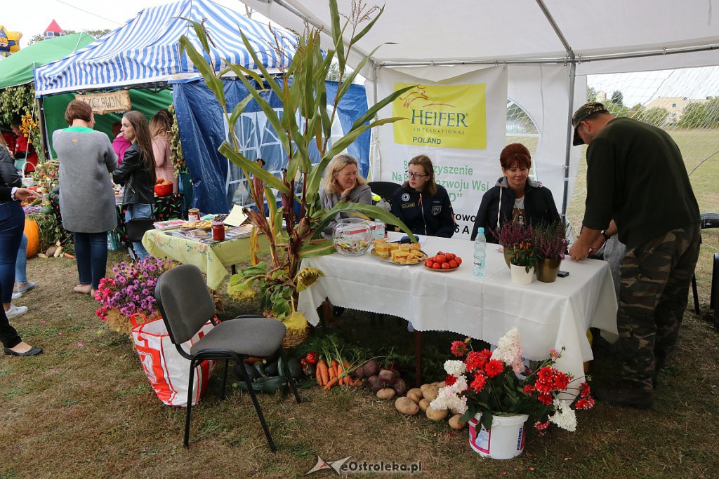 Pożegnanie lata i Dożynki Gminne w Goworowie [15.09.2019] - zdjęcie #96 - eOstroleka.pl