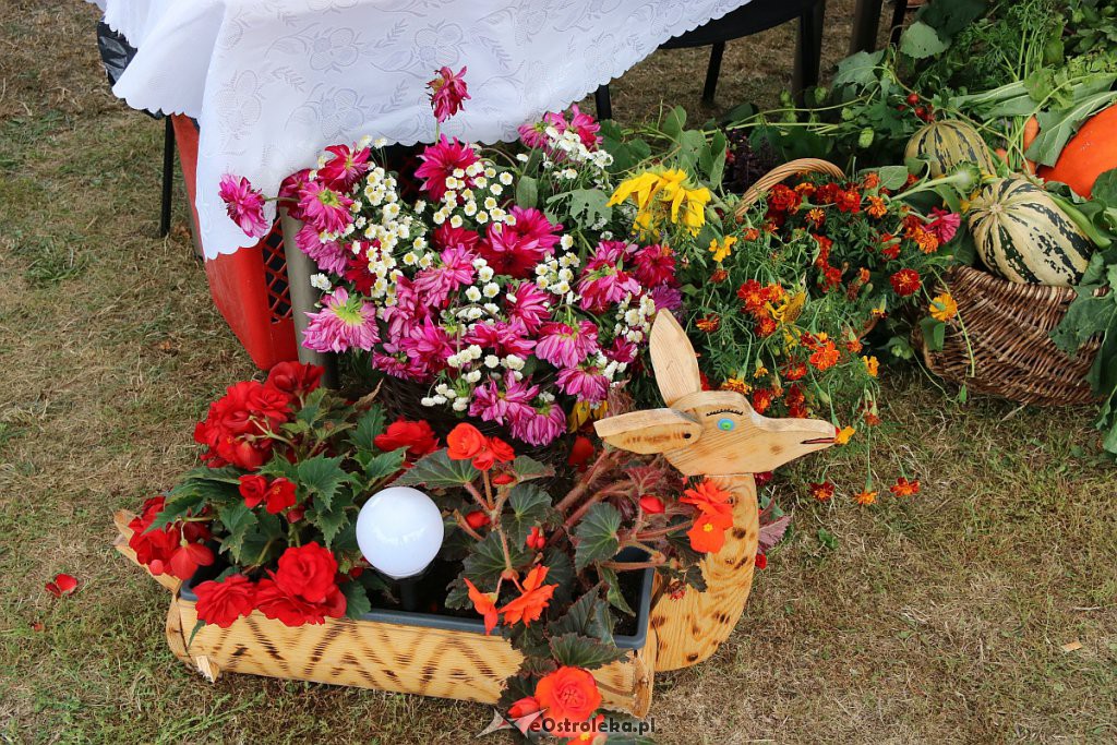 Pożegnanie lata i Dożynki Gminne w Goworowie [15.09.2019] - zdjęcie #94 - eOstroleka.pl