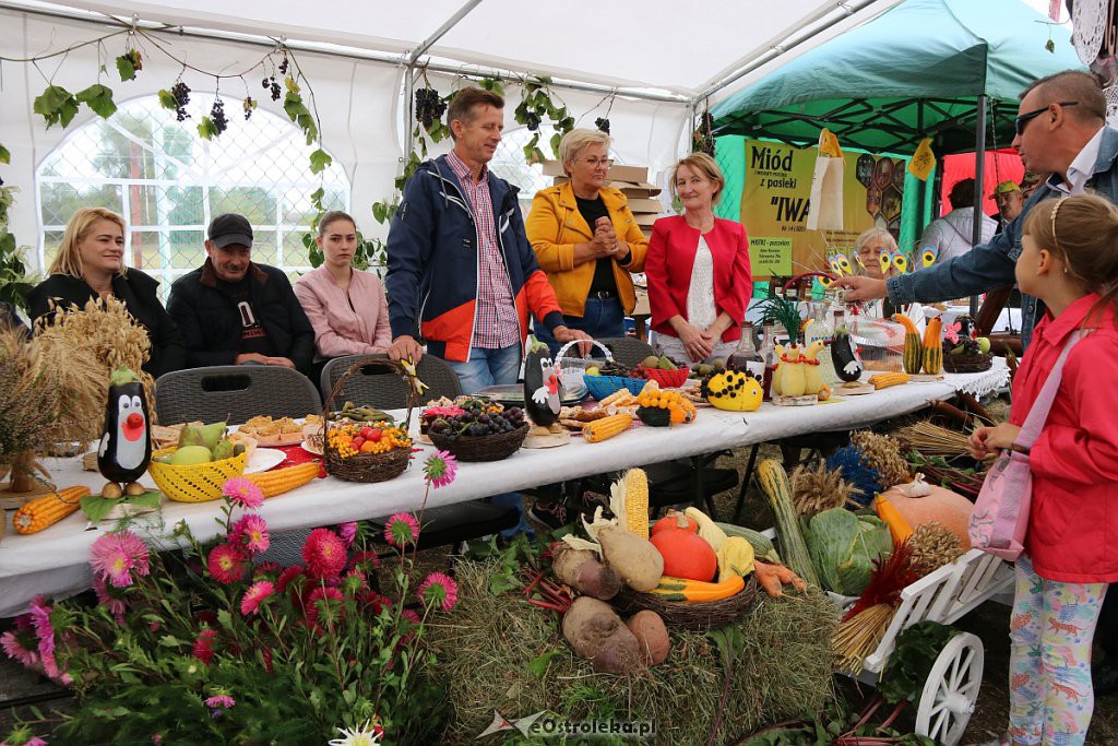 Pożegnanie lata i Dożynki Gminne w Goworowie [15.09.2019] - zdjęcie #89 - eOstroleka.pl