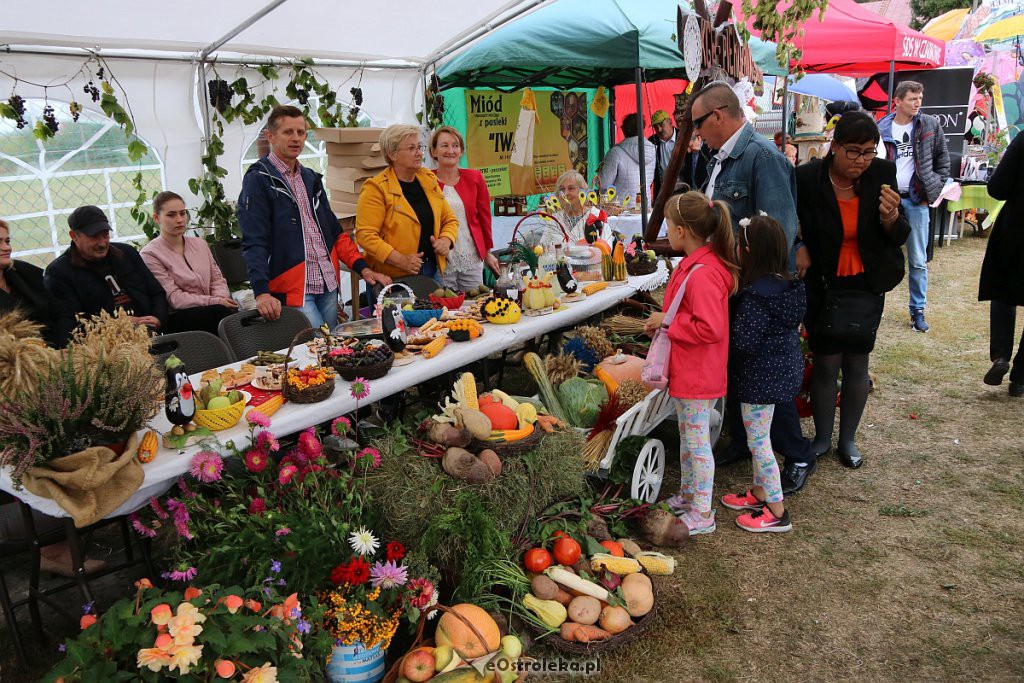 Pożegnanie lata i Dożynki Gminne w Goworowie [15.09.2019] - zdjęcie #88 - eOstroleka.pl