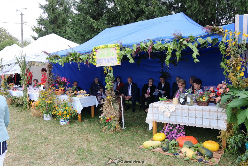 Pożegnanie lata i Dożynki Gminne w Goworowie [15.09.2019] - zdjęcie #64 - eOstroleka.pl
