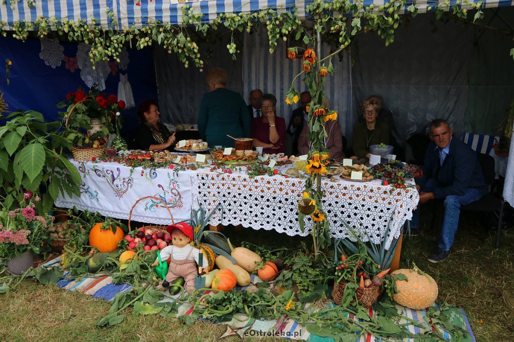 Pożegnanie lata i Dożynki Gminne w Goworowie [15.09.2019] - zdjęcie #61 - eOstroleka.pl