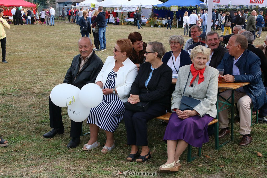 Pożegnanie lata i Dożynki Gminne w Goworowie [15.09.2019] - zdjęcie #127 - eOstroleka.pl