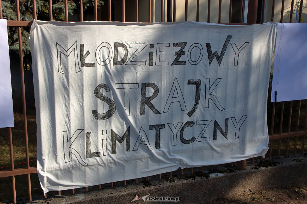 Młodzieżowy Strajk Klimatyczny w Ostrołęce [20.09.2019] - zdjęcie #5 - eOstroleka.pl