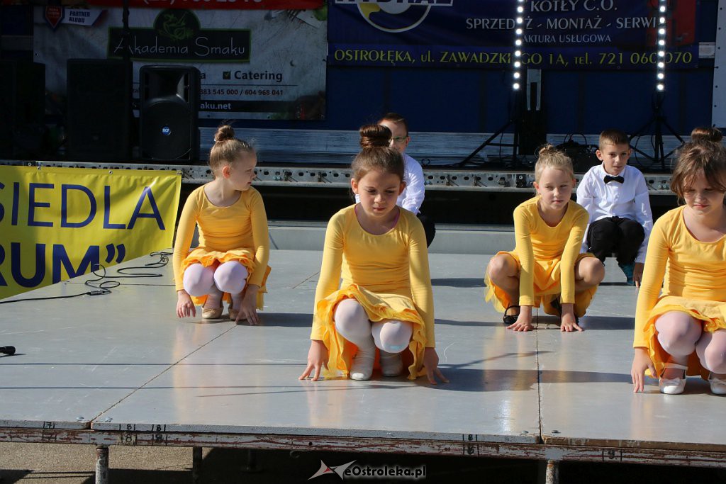 Festyn Pieczenie ziemniaka na osiedlu Centrum [22.09.2019] - zdjęcie #295 - eOstroleka.pl