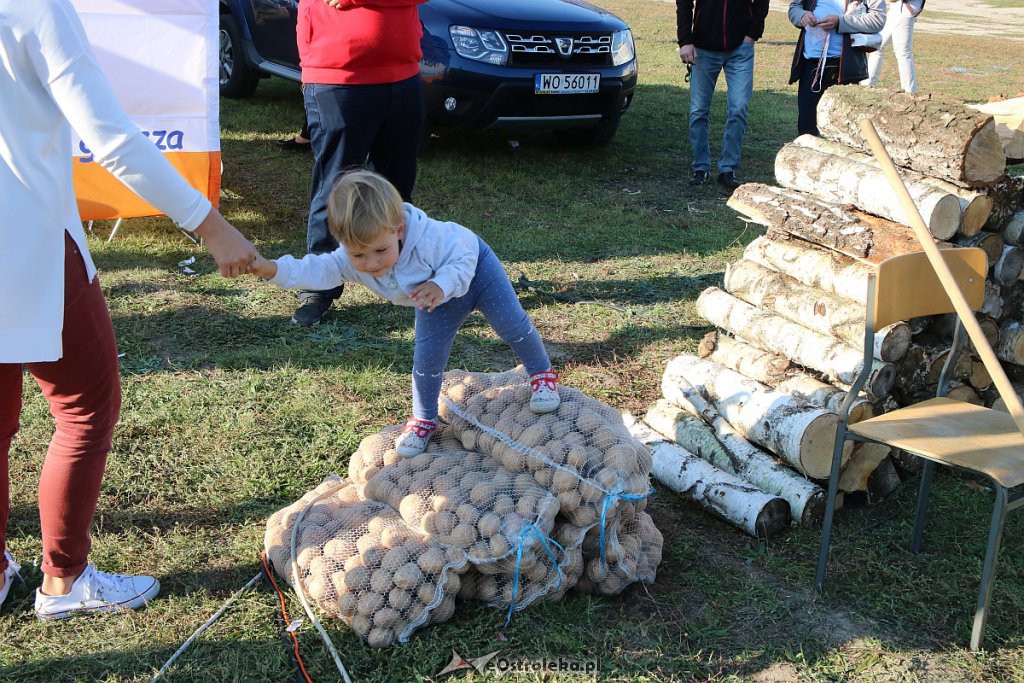 Festyn Pieczenie ziemniaka na osiedlu Centrum [22.09.2019] - zdjęcie #268 - eOstroleka.pl