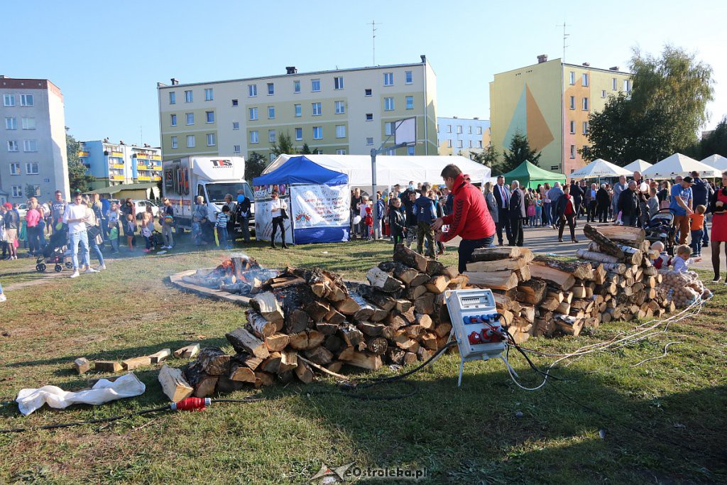 Festyn Pieczenie ziemniaka na osiedlu Centrum [22.09.2019] - zdjęcie #269 - eOstroleka.pl